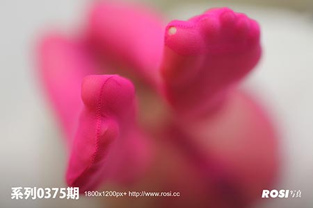 [ROSI写真] 2012.10.16 No.375