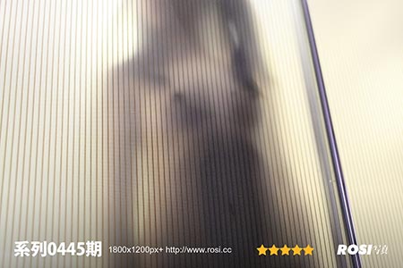 [ROSI写真] 2013.01.02 No.445