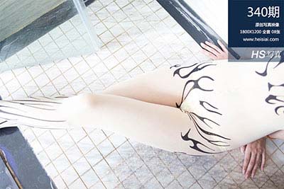 [HeiSiAi黑丝爱] 2015.07.18 No.340