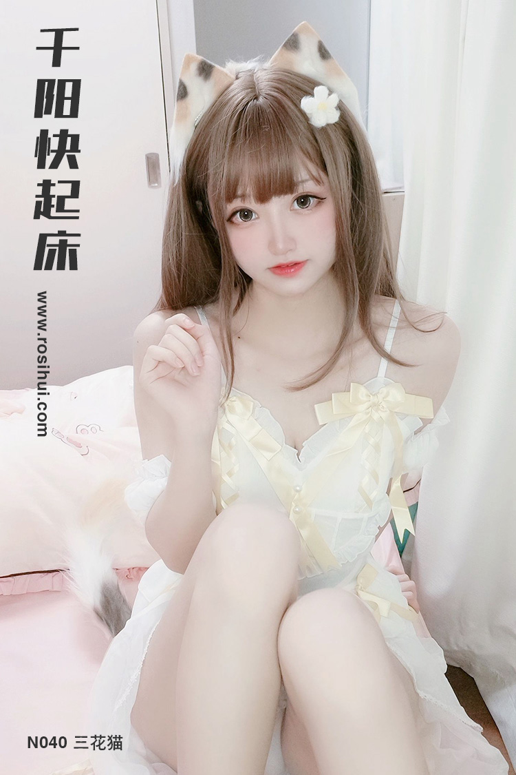 [千阳快起床] N040 三花猫