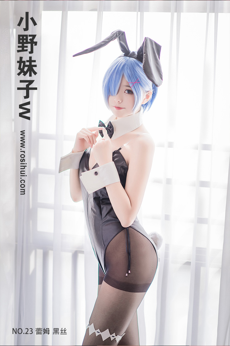 [小野妹子w] NO.23 蕾姆 黑丝