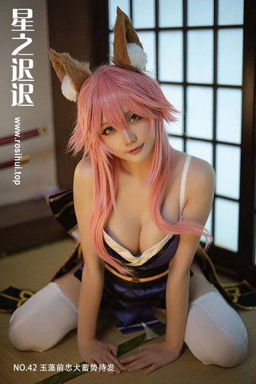[星之迟迟] NO.42 玉藻前忠犬蓄势待发 - 封面图