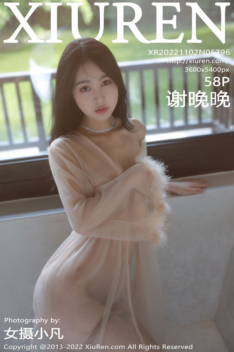 [XiuRen秀人网] 2022.11.02 No.5796 谢晚晚 浅色薄纱轻透情趣服饰 - 封面图