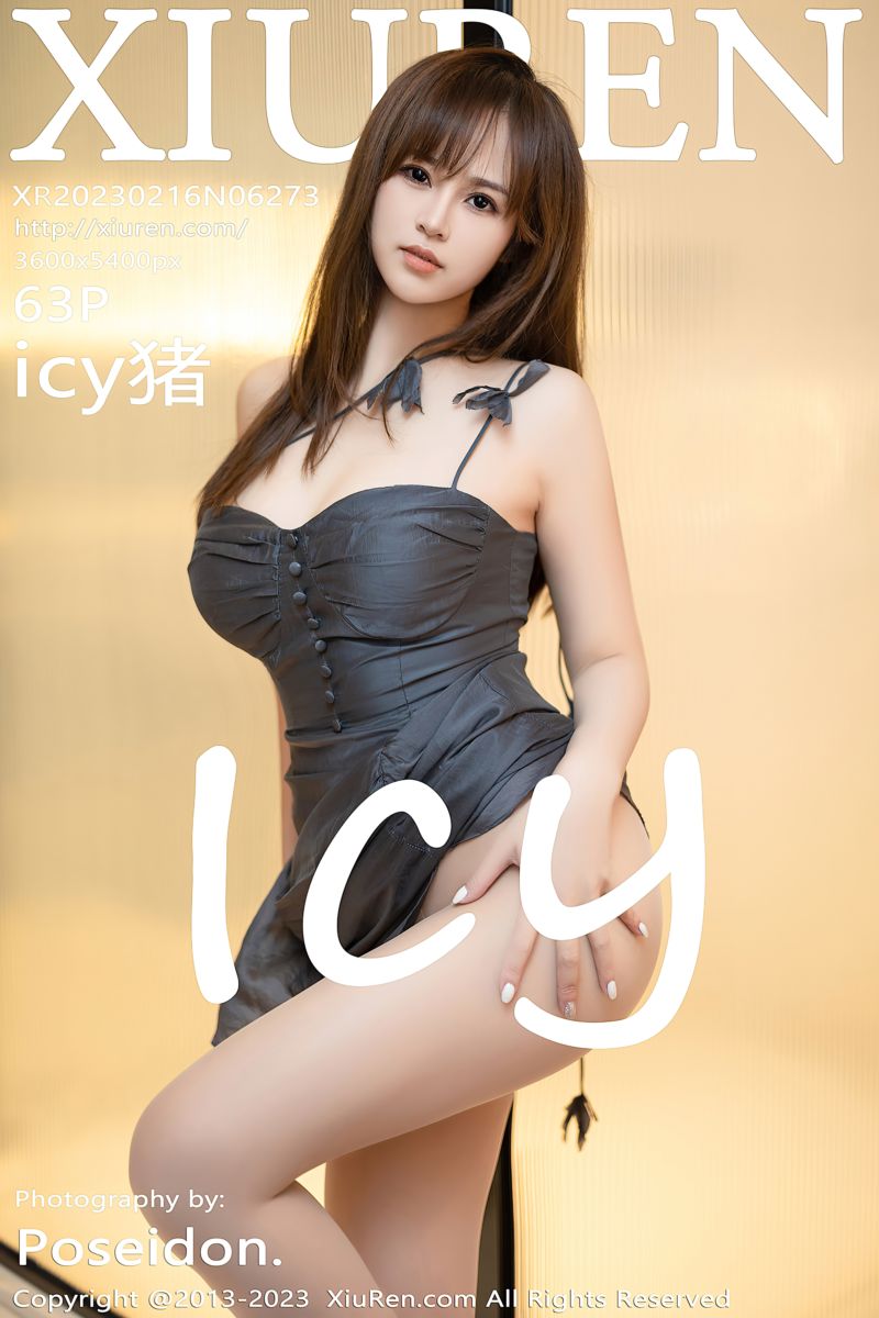 [XiuRen秀人网] 2023.02.16 No.6273 icy猪 灰色吊带长裙