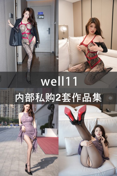 well11 内部私购2套作品集 - 封面图